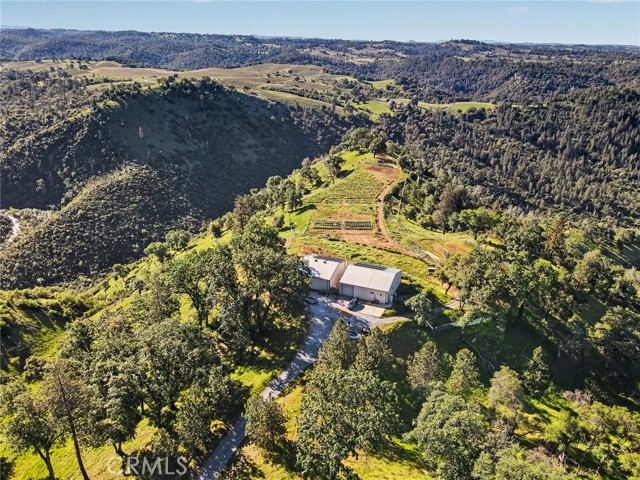 Image 21 of 36 For 3029 Freshwater