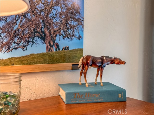 Detail Gallery Image 47 of 62 For 5275 State Highway 49, Mariposa,  CA 95338 - 4 Beds | 2 Baths