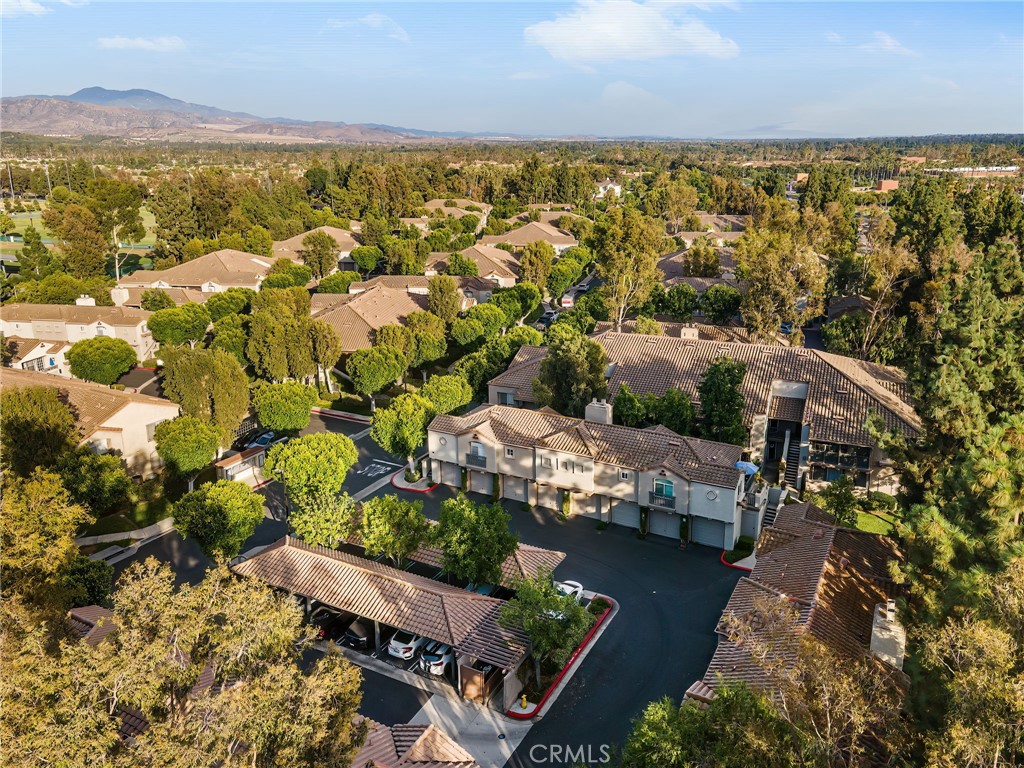 MLS #SW25185679 image #5