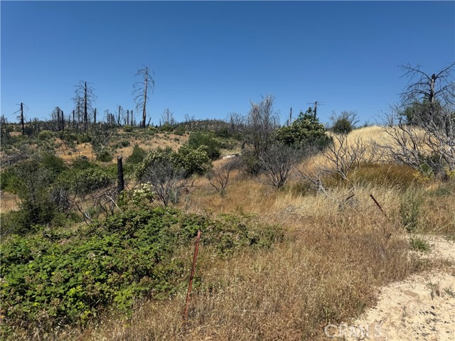 Detail Gallery Image 4 of 5 For 0 Sierra View, Berry Creek,  CA 95916 - – Beds | – Baths