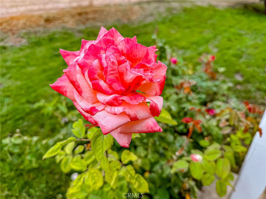 https://media.crmls.org/medias/9dd941cf-0978-4cd3-b1de-a2102ac7fe56.jpg?preset=X-Large