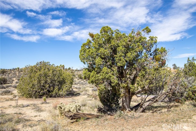 Detail Gallery Image 14 of 20 For 9486 Carmelita Cir, Yucca Valley,  CA 92284 - – Beds | – Baths