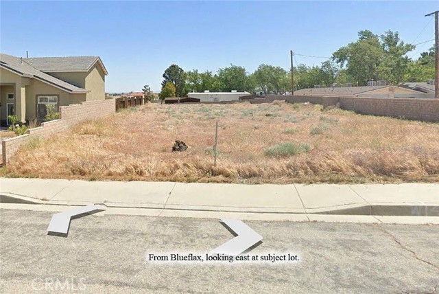 Front Image Thumbnail for CRSW25274810