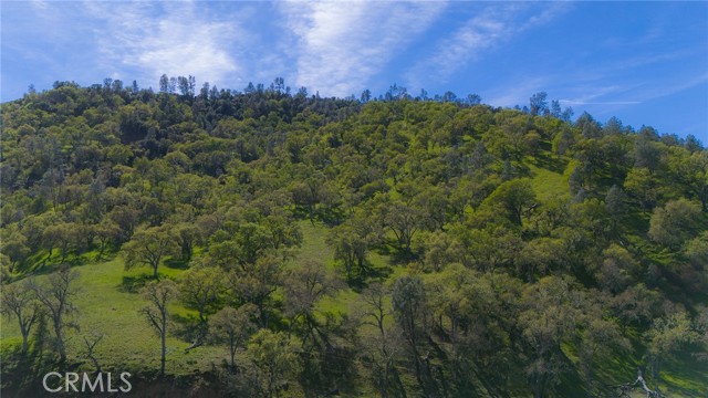 Detail Gallery Image 27 of 63 For 2935 Sorrel Ln, Paso Robles,  CA 93446 - 4 Beds | 2/1 Baths