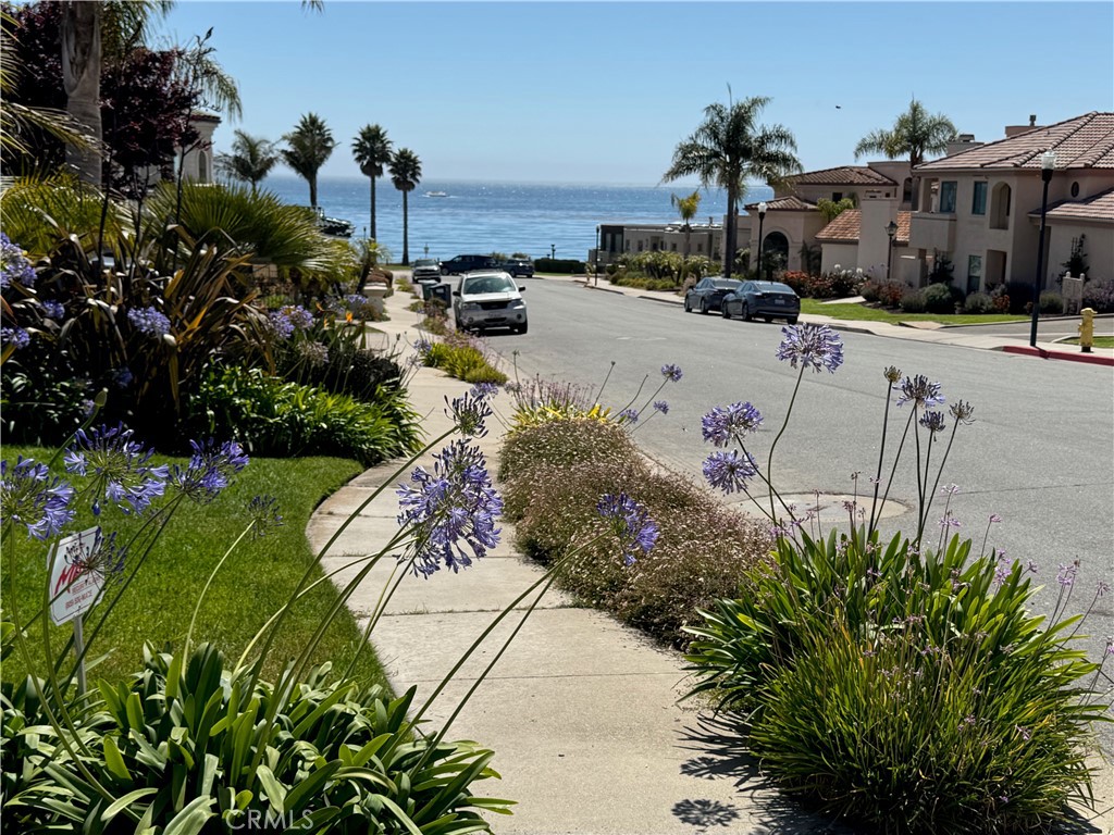 MLS #PI25132015 image #2