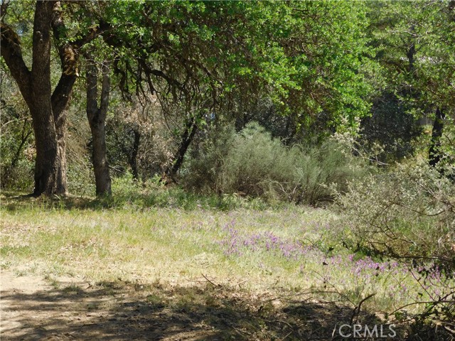 15773 39th Avenue, Clearlake, California 95422, ,Land,For Sale,15773 39th Avenue,CRLC23181535