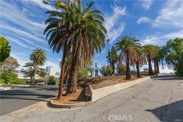 Front Image Thumbnail for CRIG26228543