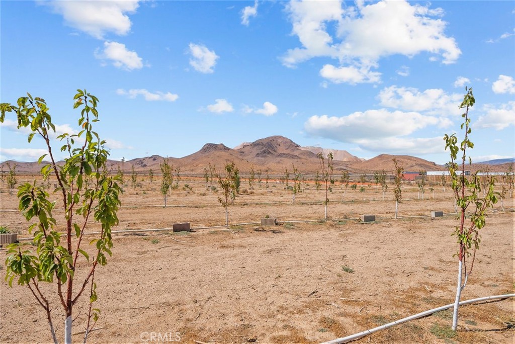 MLS #SR25232873 image #9