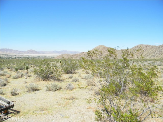 NORTHERN VIEW