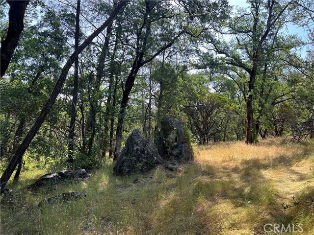 Detail Gallery Image 15 of 28 For 0 Rich Gulch Rd, Yankee Hill,  CA 95965 - – Beds | – Baths
