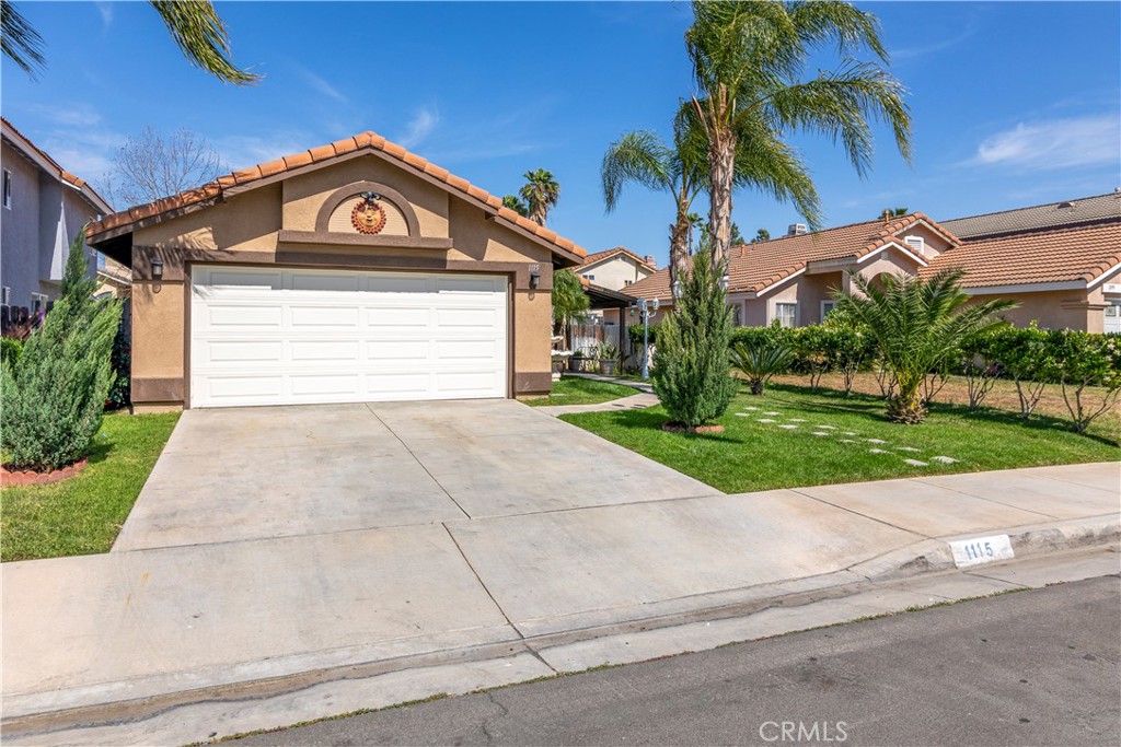 1115 White Tip Lane
