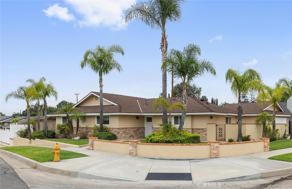 4441 AVOCADO Avenue