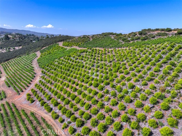 0 Via Herradura, Murrieta CA: https://media.crmls.org/medias/9df6cad4-6750-4778-bfc4-d0b3b0b58bc9.jpg