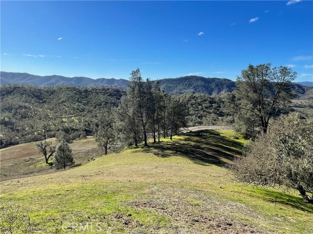 2790 Edgewood Court, Paso Robles, California 93446, ,Land,For Sale,2790 Edgewood Court,CRNS24013071