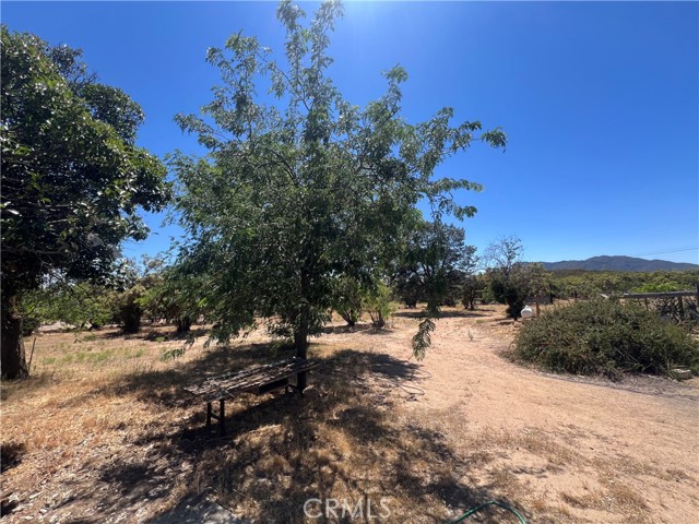 Detail Gallery Image 35 of 51 For 54279 Bautista Canyond Rd, Anza,  CA 92539 - 3 Beds | 2/1 Baths