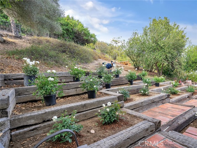 6301 Via Ciega, Rancho Palos Verdes, California 90275, 4 Bedrooms Bedrooms, ,2 BathroomsBathrooms,Residential,Sold,Via Ciega,PV21104706