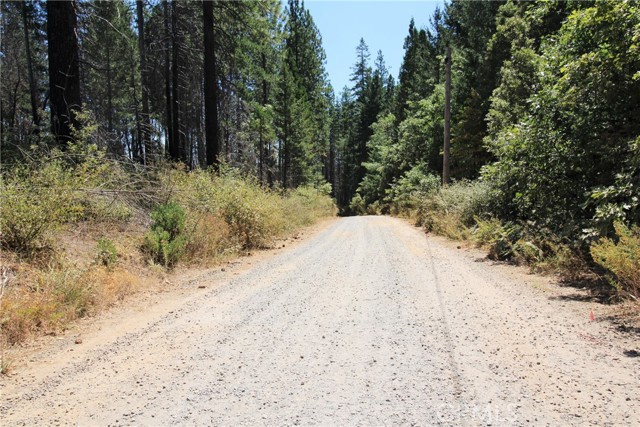 Detail Gallery Image 42 of 43 For 268 Milsap Bar Rd, Berry Creek,  CA 95916 - 3 Beds | 1 Baths