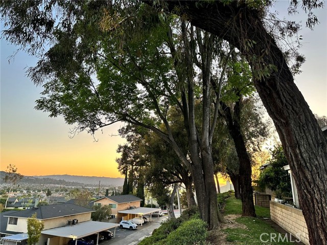 Detail Gallery Image 42 of 45 For 1338 Oahu St, West Covina,  CA 91792 - 3 Beds | 3 Baths