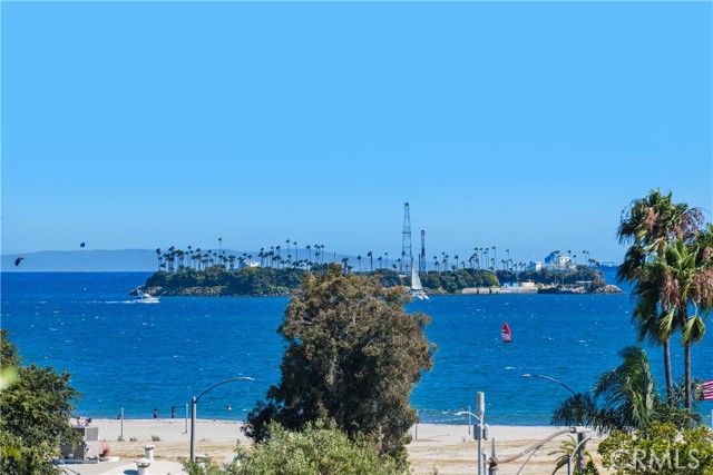 3901 E Livingston Drive, Long Beach CA: https://media.crmls.org/medias/9e01dd95-872d-4fa9-9e86-c9d5537990f2.jpg