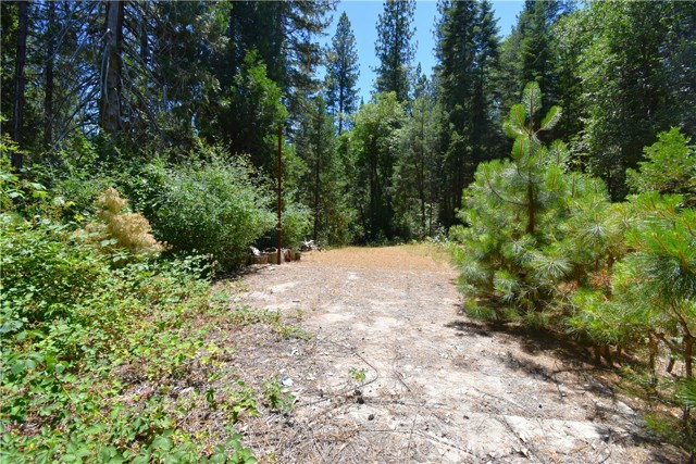 94 Weiss Hill Road, Oroville, CA, 95966 94 Weiss Hill Road, Oroville, CA, 95966