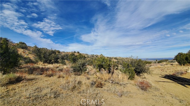 MLS #SR25242278 image #46