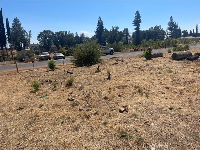 401 Circlewood Drive, Paradise, California 95969, ,Land,For Sale,401 Circlewood Drive,CROR23157027