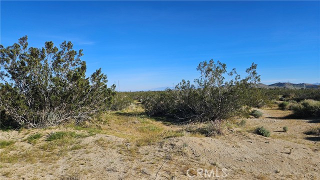 Detail Gallery Image 5 of 8 For 0 70th St West, Rosamond,  CA 93560 - – Beds | – Baths