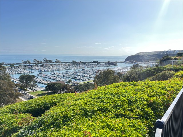 25081 La Cresta Drive, Dana Point CA: https://media.crmls.org/medias/9e1fe0fb-2b3d-4540-a983-dc20cc3c704e.jpg