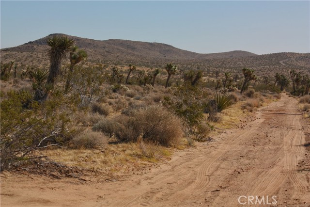 0 Songbird Lane, Yucca Valley, California 92264, ,Land,For Sale,0 Songbird Lane,CRJT23189101