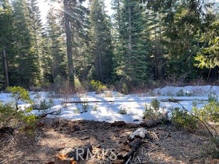 Detail Gallery Image 3 of 8 For 11041 Last Chance Mine Rd, Nevada City,  CA 95959 - – Beds | – Baths