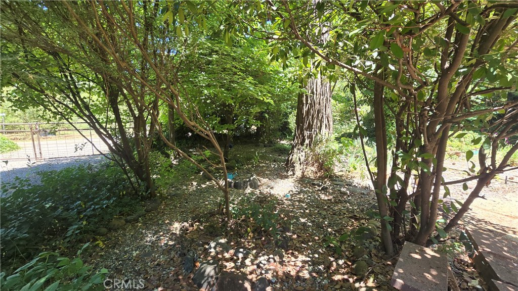 9E302Bda 8813 48A2 B0A1 11918C1C9430 14568 Holmwood Drive, Magalia, Ca 95954 &Lt;Span Style='BackgroundColor:transparent;Padding:0Px;'&Gt; &Lt;Small&Gt; &Lt;I&Gt; &Lt;/I&Gt; &Lt;/Small&Gt;&Lt;/Span&Gt;