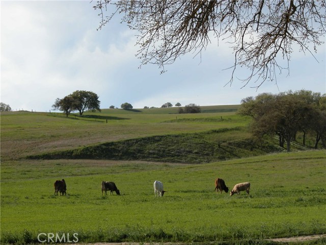 Detail Gallery Image 13 of 52 For 3470 Ranchita Cyn Rd, San Miguel,  CA 93451 - – Beds | – Baths