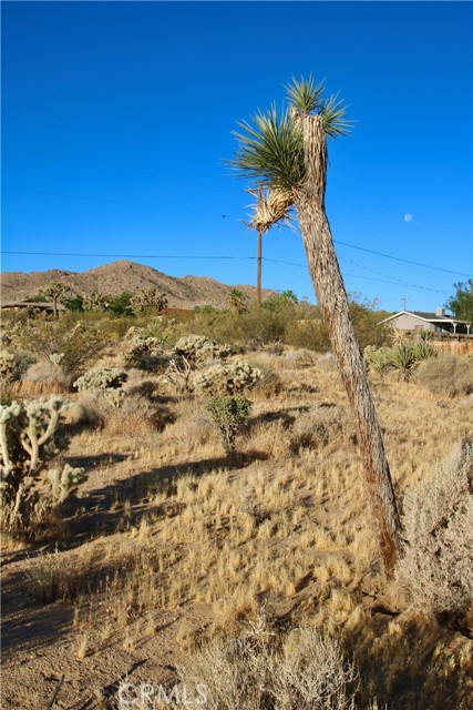 Detail Gallery Image 20 of 20 For 60255 Natoma Trl, Joshua Tree,  CA 92252 - – Beds | – Baths