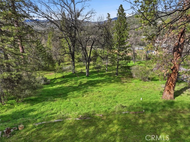 Detail Gallery Image 44 of 48 For 50047 Hangtree, Oakhurst,  CA 93644 - 3 Beds | 2 Baths