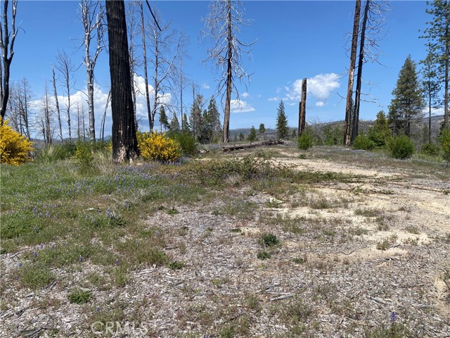 Detail Gallery Image 12 of 24 For 1103 Bald Rock Rd, Berry Creek,  CA 95916 - – Beds | – Baths