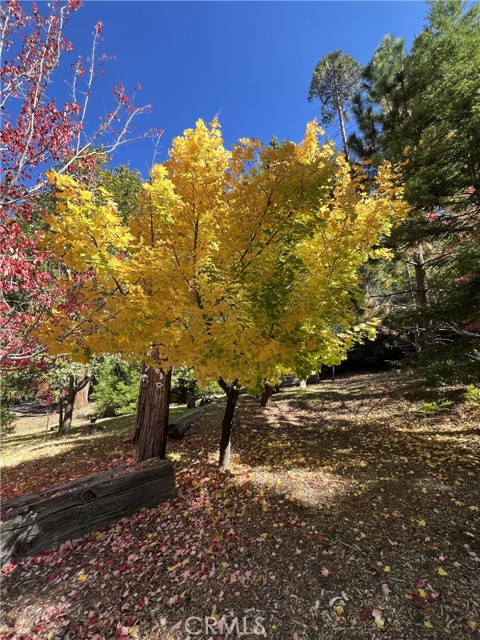 Detail Gallery Image 41 of 44 For 29729 Katherine Way, Cedar Glen,  CA 92321 - 4 Beds | 2 Baths