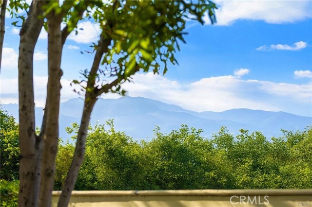 Detail Gallery Image 71 of 73 For 779 Coral Tree, Upland,  CA 91784 - 6 Beds | 5/2 Baths