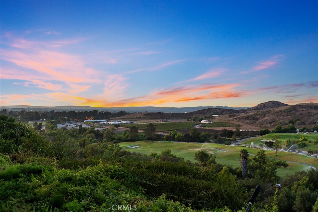 MLS #OC26150651 image #33