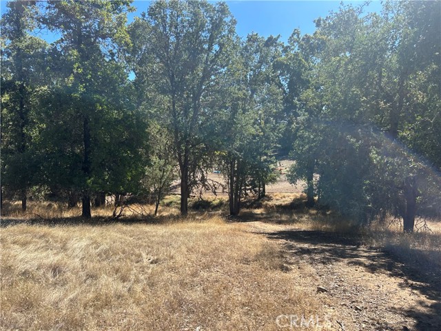 Detail Gallery Image 10 of 20 For 1000 Eva Way, Lakeport,  CA 95453 - – Beds | – Baths