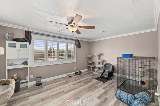 Detail Gallery Image 38 of 75 For 2320 Temescal, Norco,  CA 92860 - 4 Beds | 2 Baths