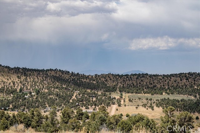 550 Eagle Ridge Rd, Big Bear, CA 92314