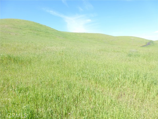 Detail Gallery Image 34 of 51 For 0 Douglas Rd. (Lot 33), San Miguel,  CA 93451 - – Beds | – Baths