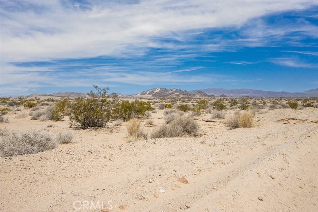 Detail Gallery Image 8 of 17 For 4500 Blower Rd, Twentynine Palms,  CA 92277 - – Beds | – Baths