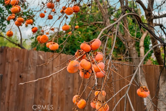 Detail Gallery Image 57 of 64 For 2250 Fern Ave, Chico,  CA 95926 - 4 Beds | 2 Baths