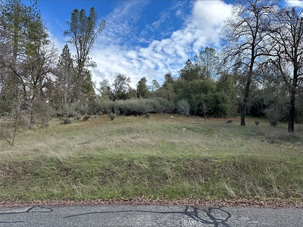 0 Deer Path Circle, Coarsegold, CA 93614