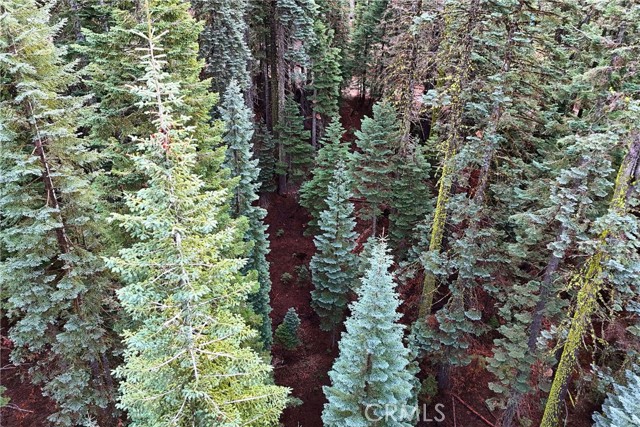 Detail Gallery Image 5 of 17 For 1100 Cleghorn Dr, Quincy,  CA 95971 - – Beds | – Baths