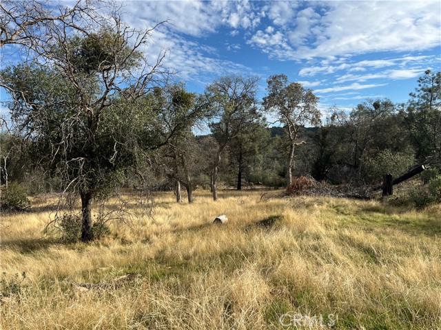 Detail Gallery Image 40 of 69 For 4934 Guadalupe Fire, Catheys Valley,  CA 95306 - – Beds | – Baths