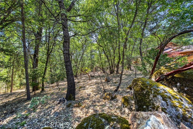 Detail Gallery Image 4 of 56 For 10512 Rosa Trl, Kelseyville,  CA 95451 - 3 Beds | 4 Baths