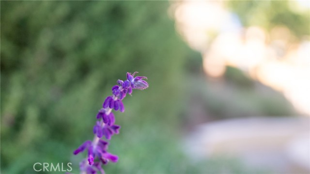 8022 Cresta Bella Road, Rancho Cucamonga CA: https://media.crmls.org/medias/9e7778b3-1539-4a9c-b1e0-696c8e7cee7a.jpg