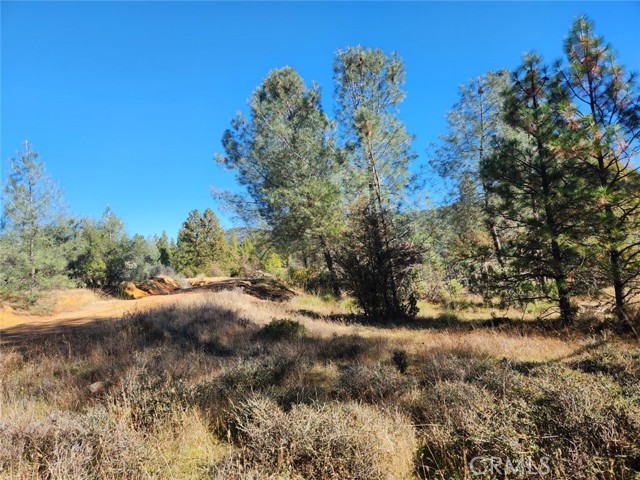 Detail Gallery Image 24 of 32 For 14444 Labadie, Dobbins,  CA 95935 - – Beds | – Baths